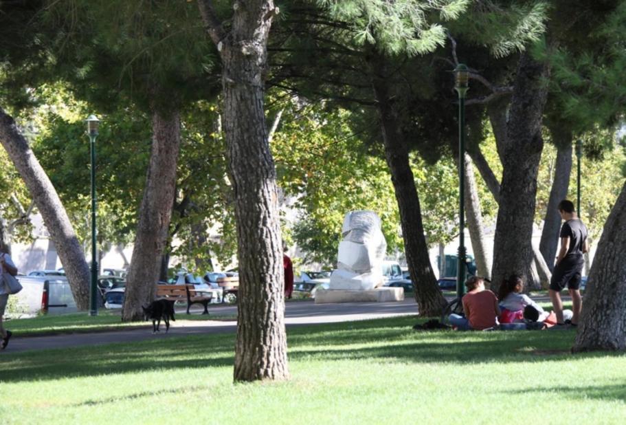 Avec Terrasse